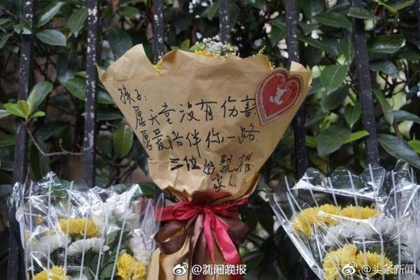 意媒：如果伊萨克离队，纽卡可能会引进弗拉霍维奇