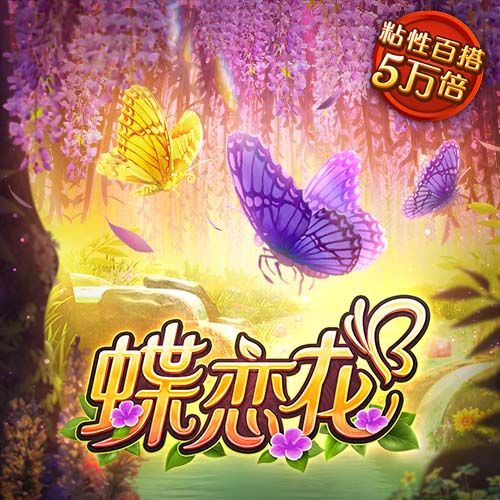 我的金轮是什么梗